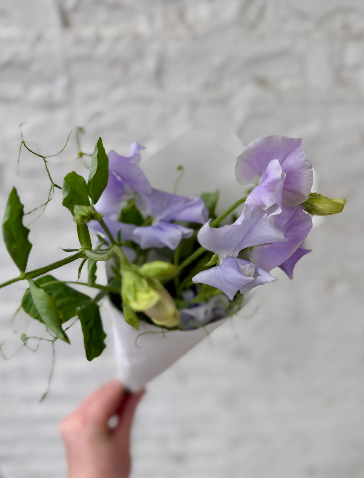 Local Sweetpea Bunch