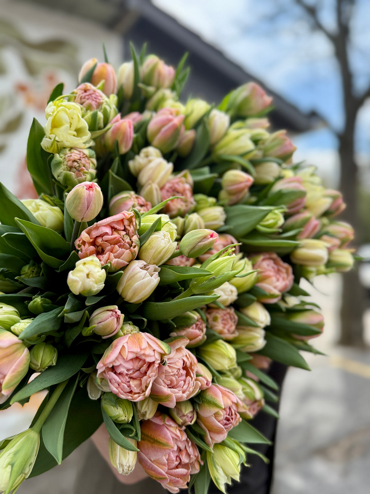 "Mostly" Tulips Subscription