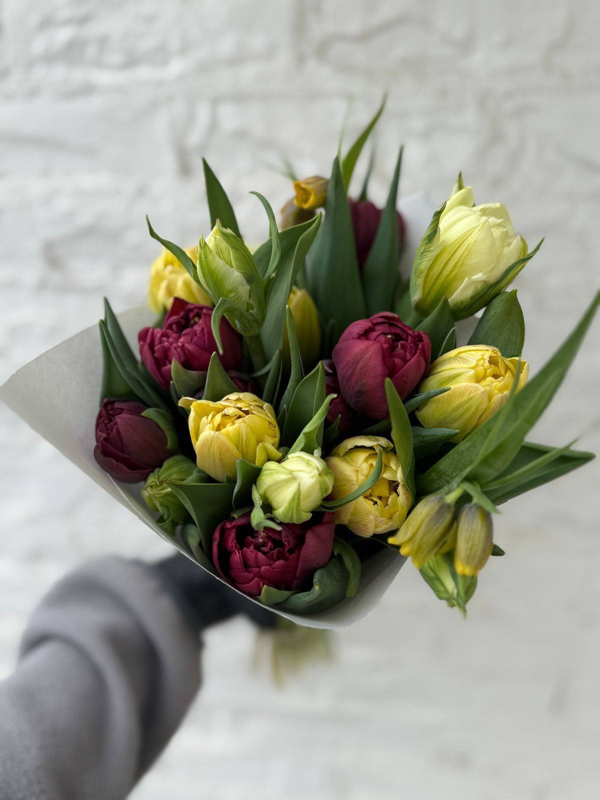 "Mostly" Tulips Subscription