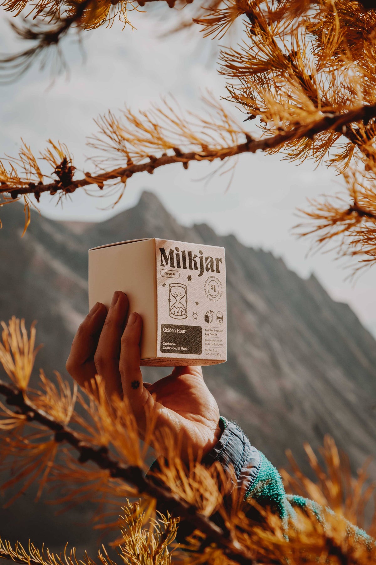 Golden Hour - Cashmere, Cedarwood Coconut Soy 8oz Candle