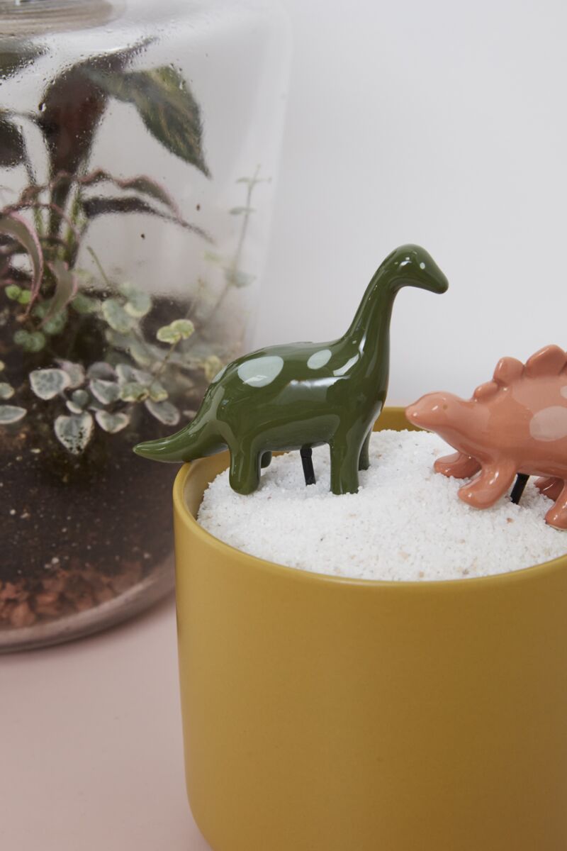 Dinosaur Plant Friend