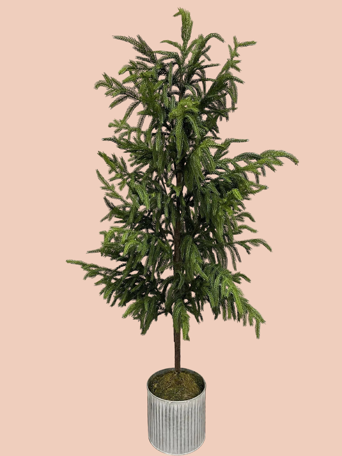 Faux Norfolk Pine Tree - 48"