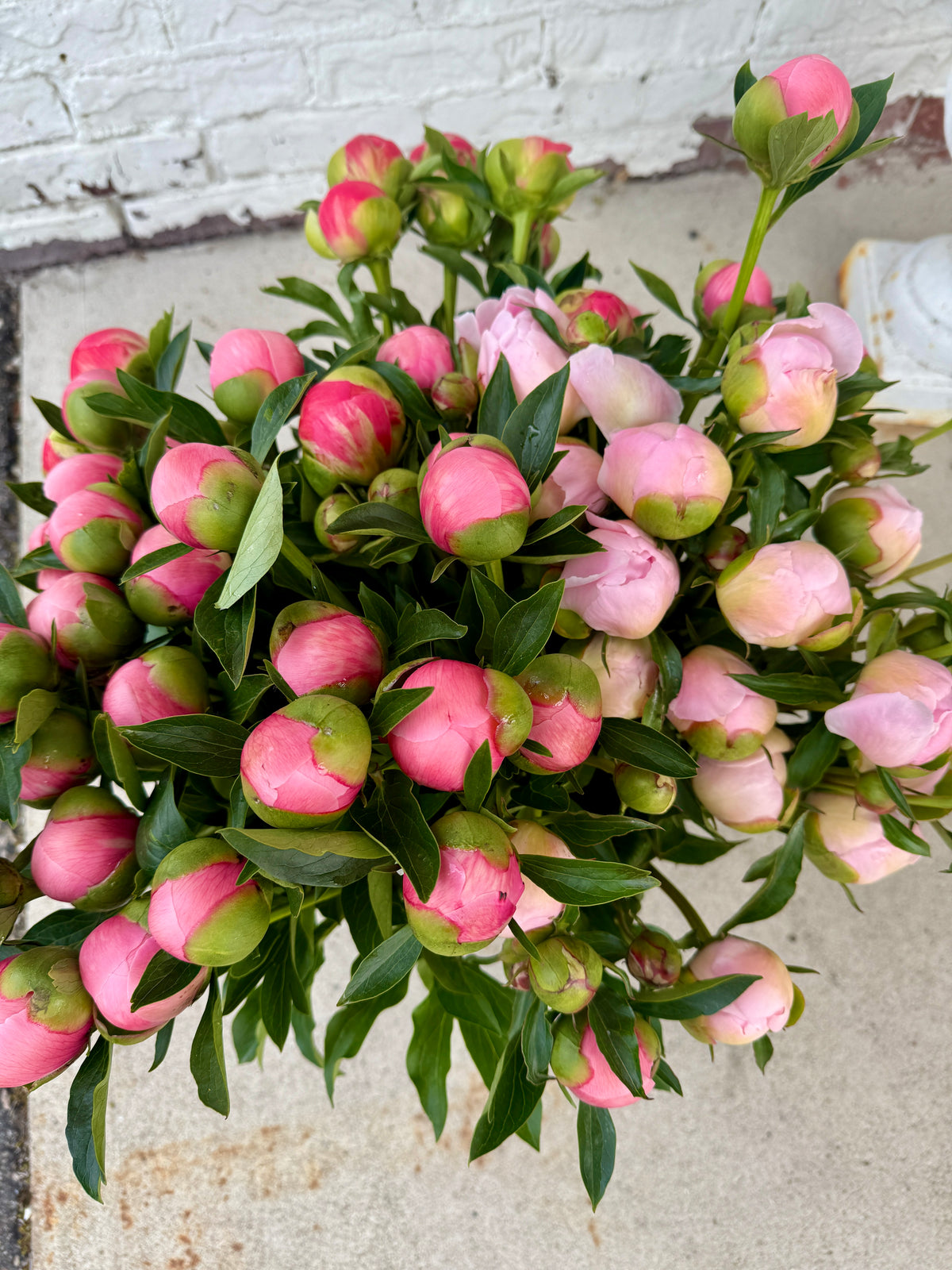 Local Peony Subscription