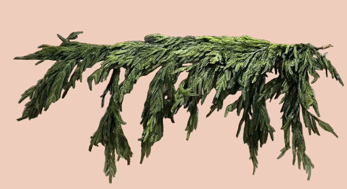 Norfolk Pine Dripping Garland - 40"