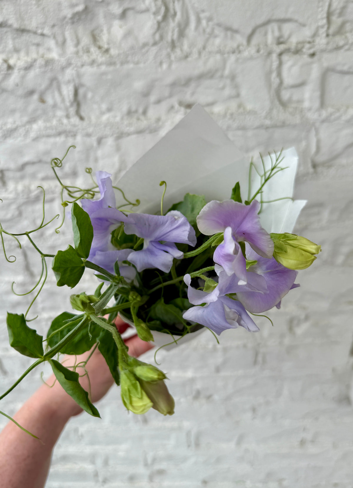 Local Sweetpea Bunch