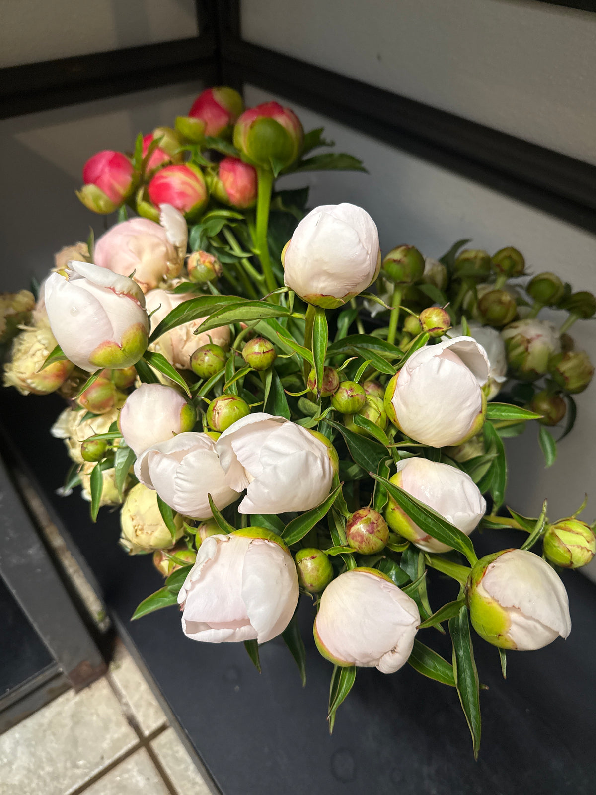 Local Peony Bunch