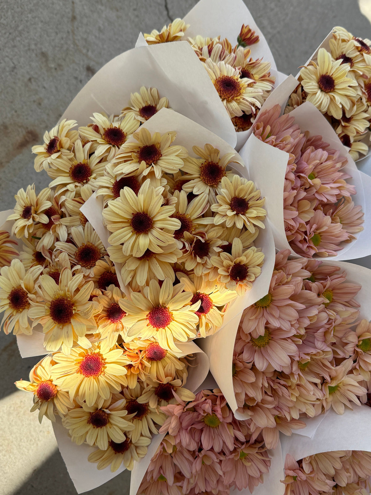 Local Daisy Bunch