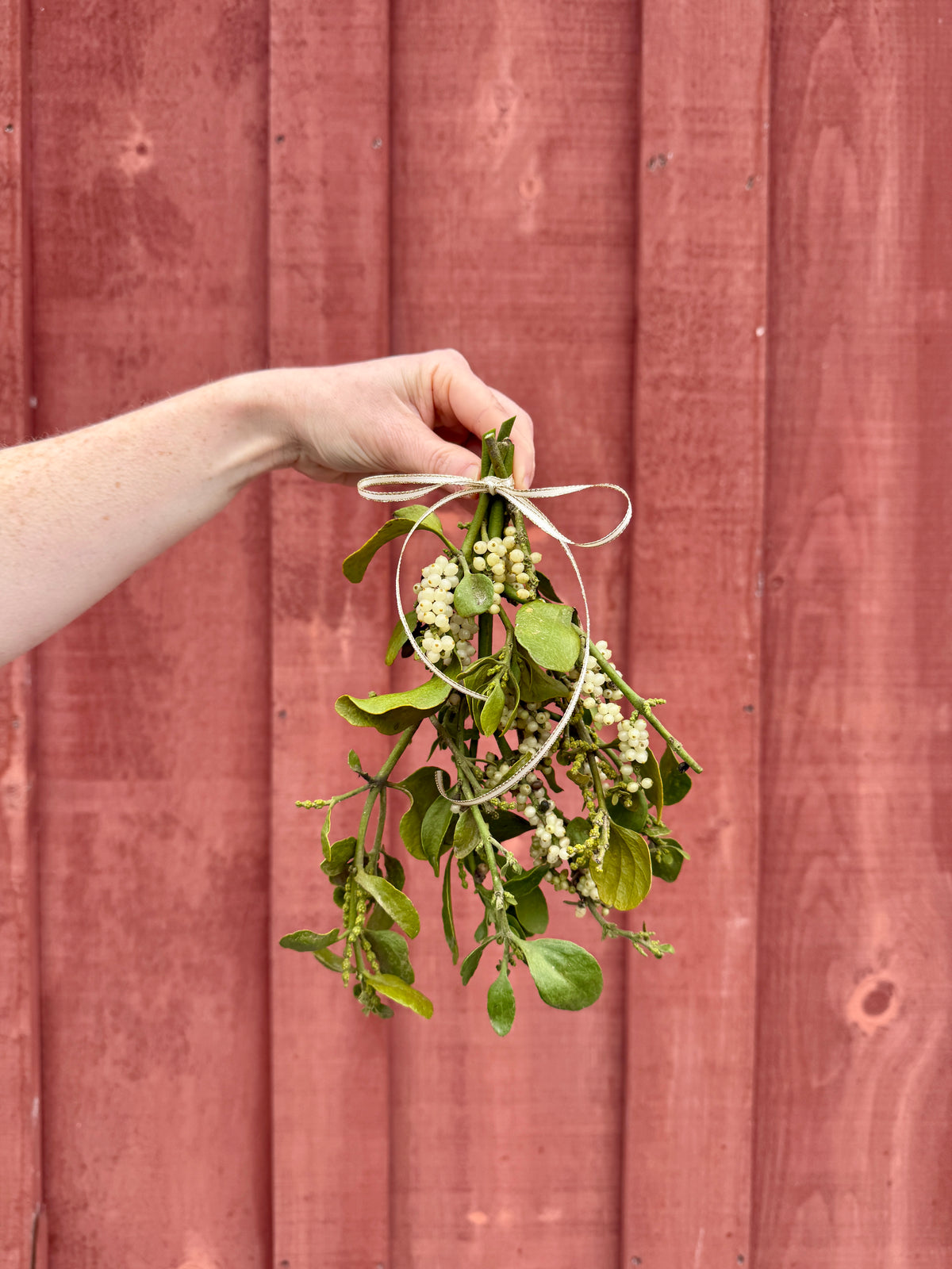Mistletoe Bough