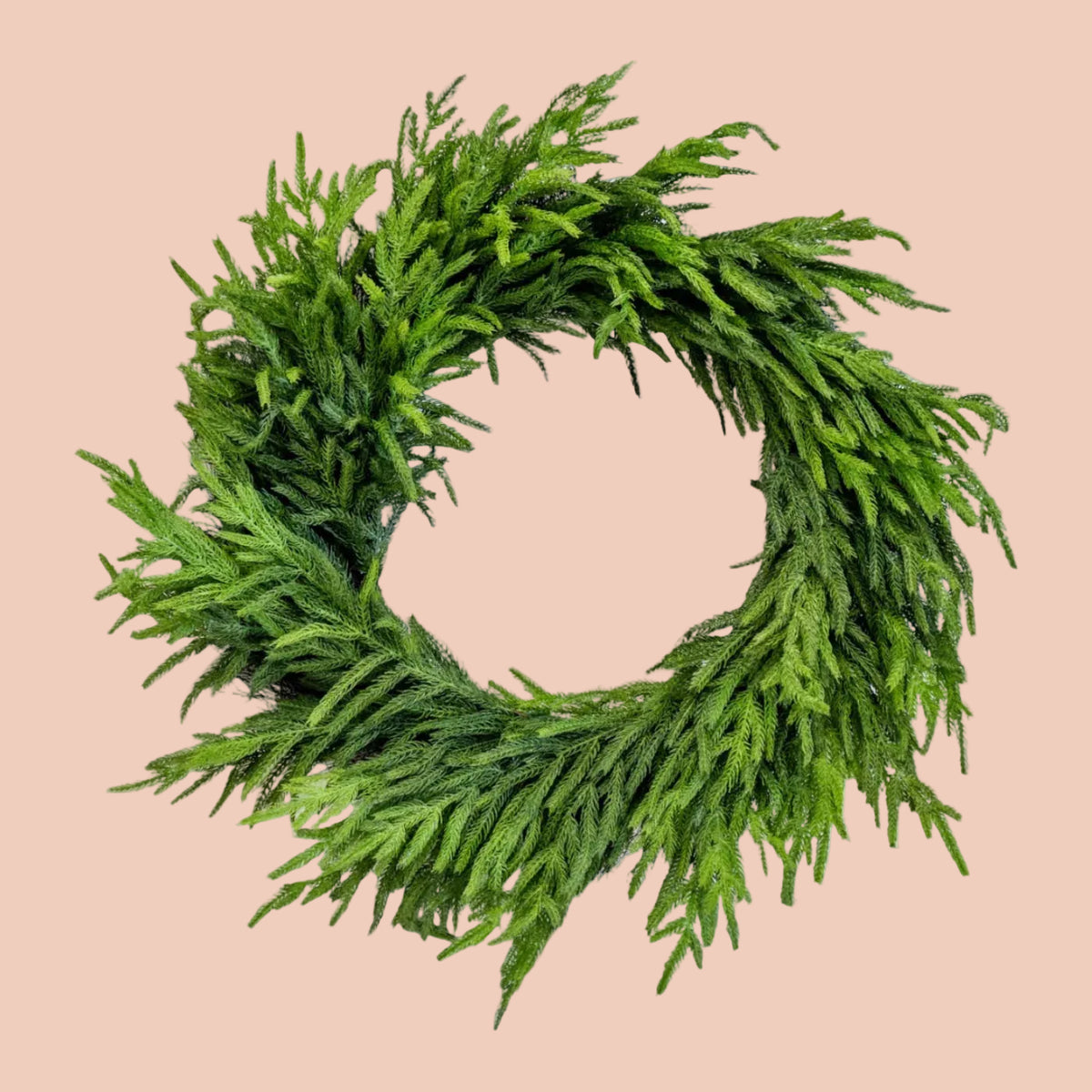 Norfolk Pine Wreath - 30"