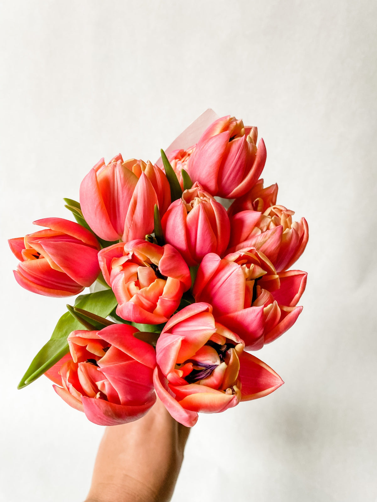 Valentine’s Columbus Tulip Bunch