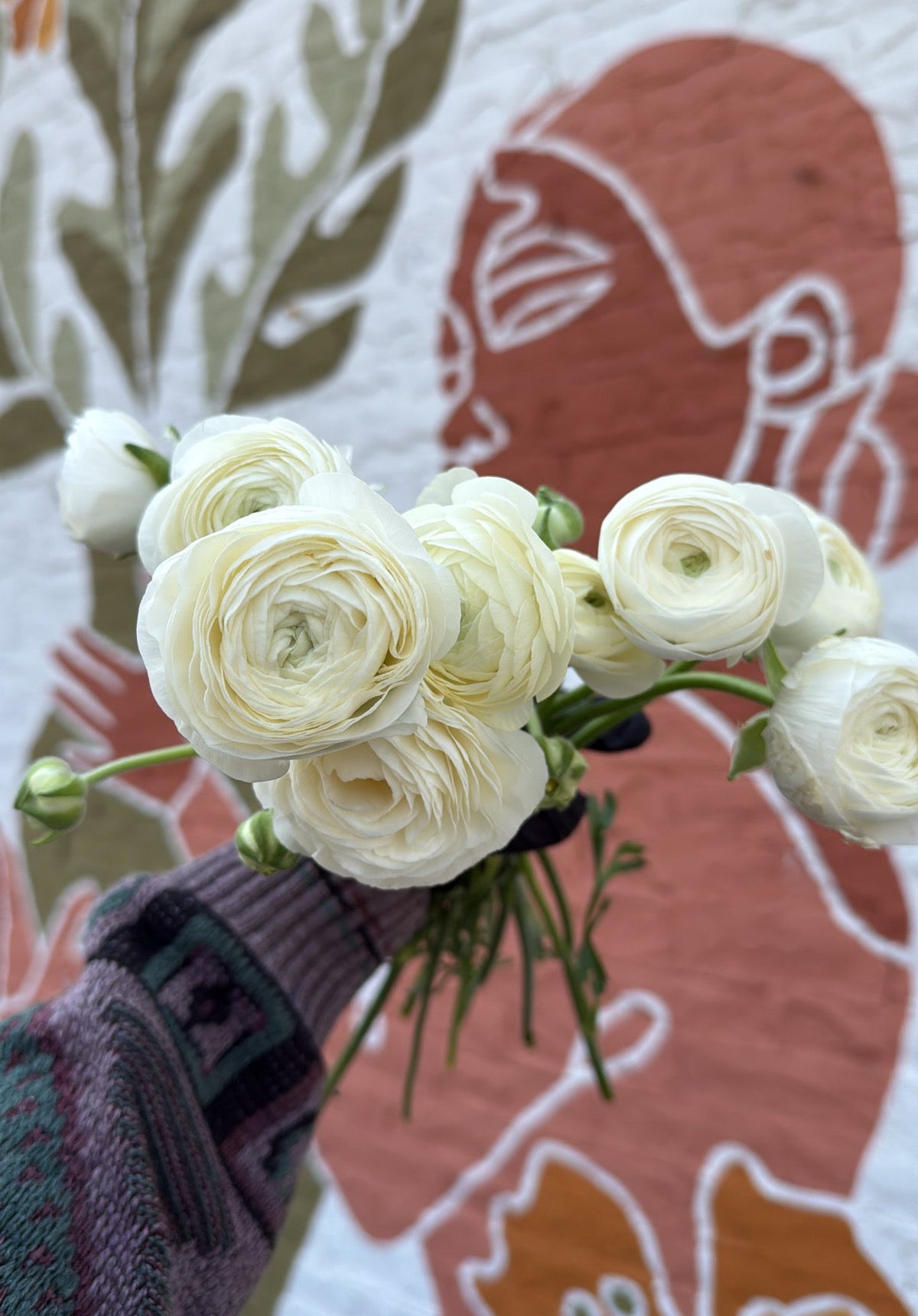 Local Ranunculus Bunch