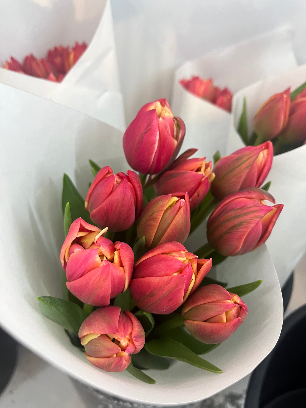 Valentine’s Columbus Tulip Bunch