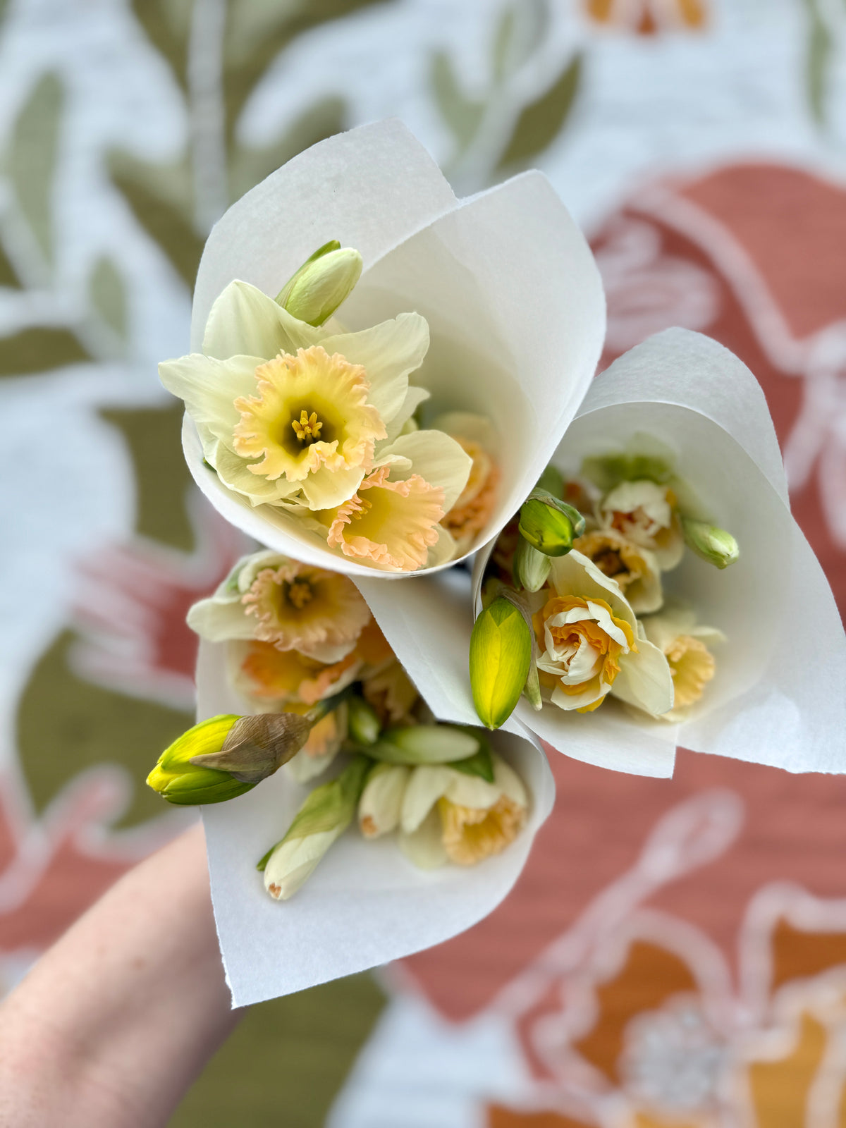Mixed Specialty Daffodil Bunch