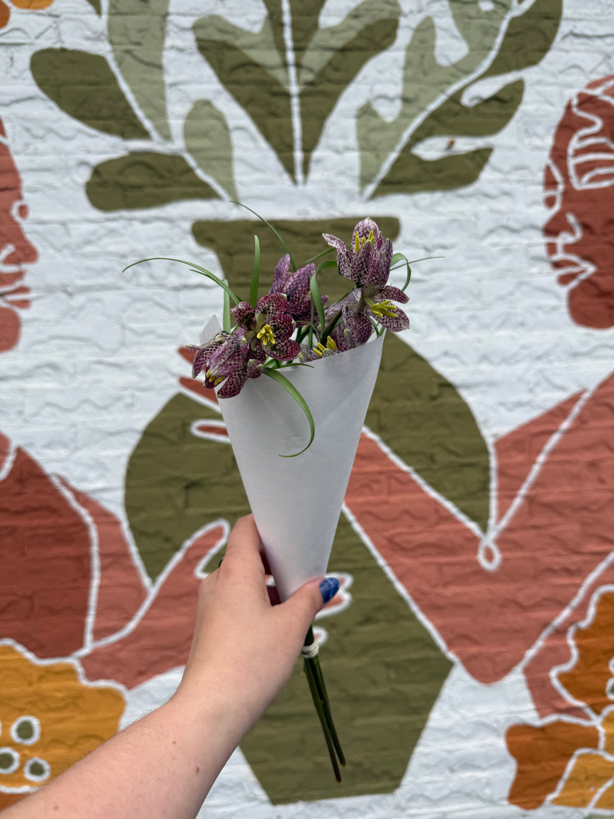 Fritillaria Bunch
