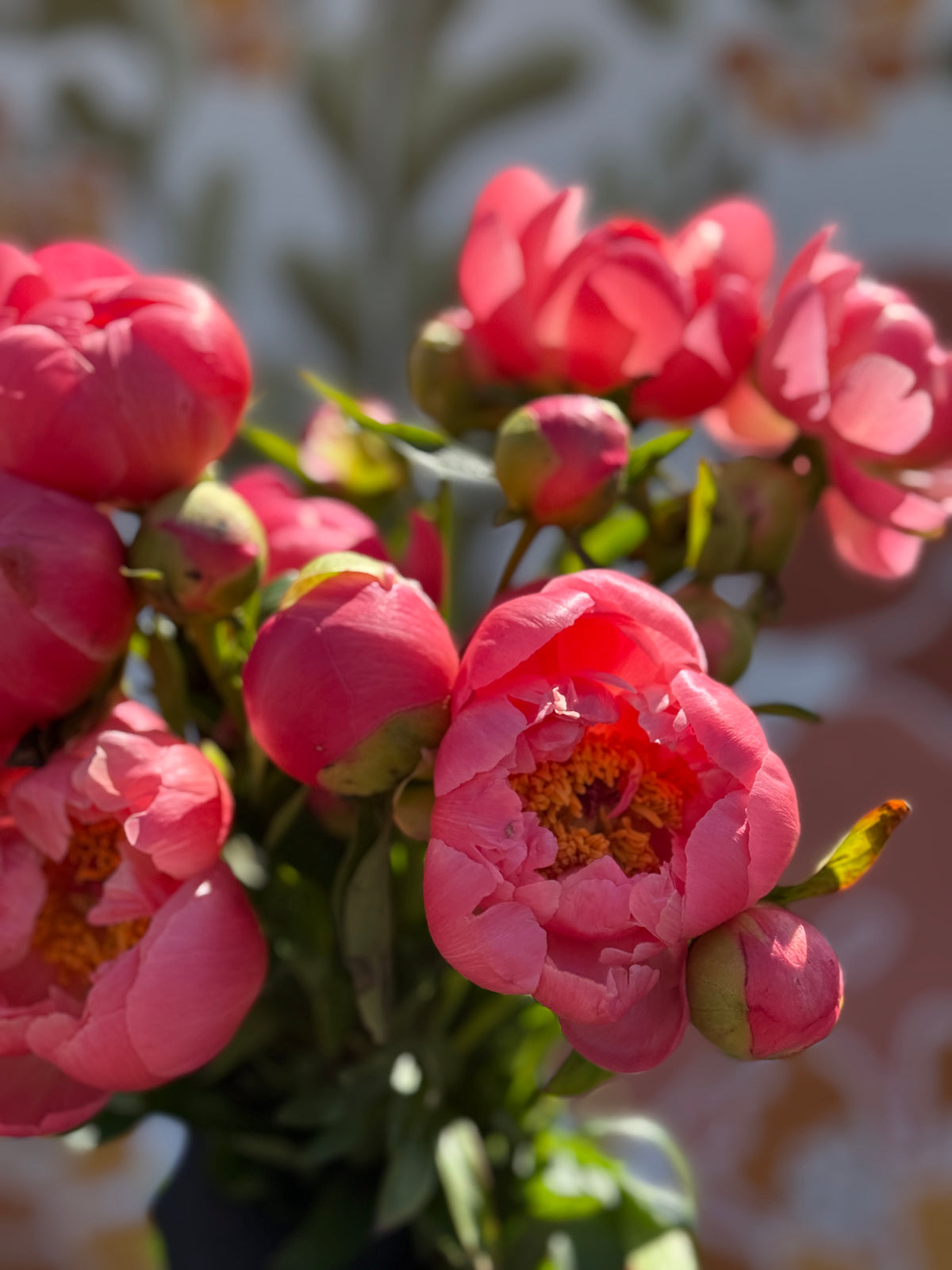 Peony Bunch - Coral Charm