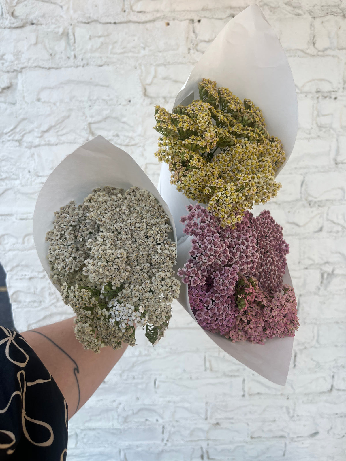 Local Yarrow Bunch