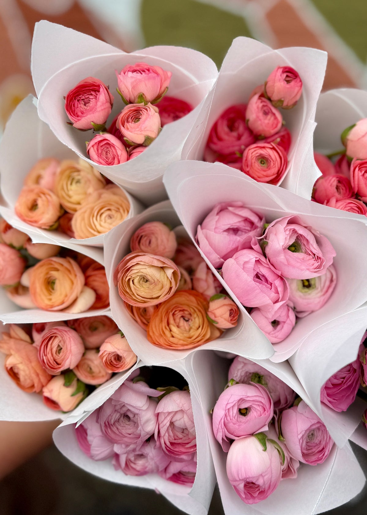 Valentine's Ranunculus Bunch