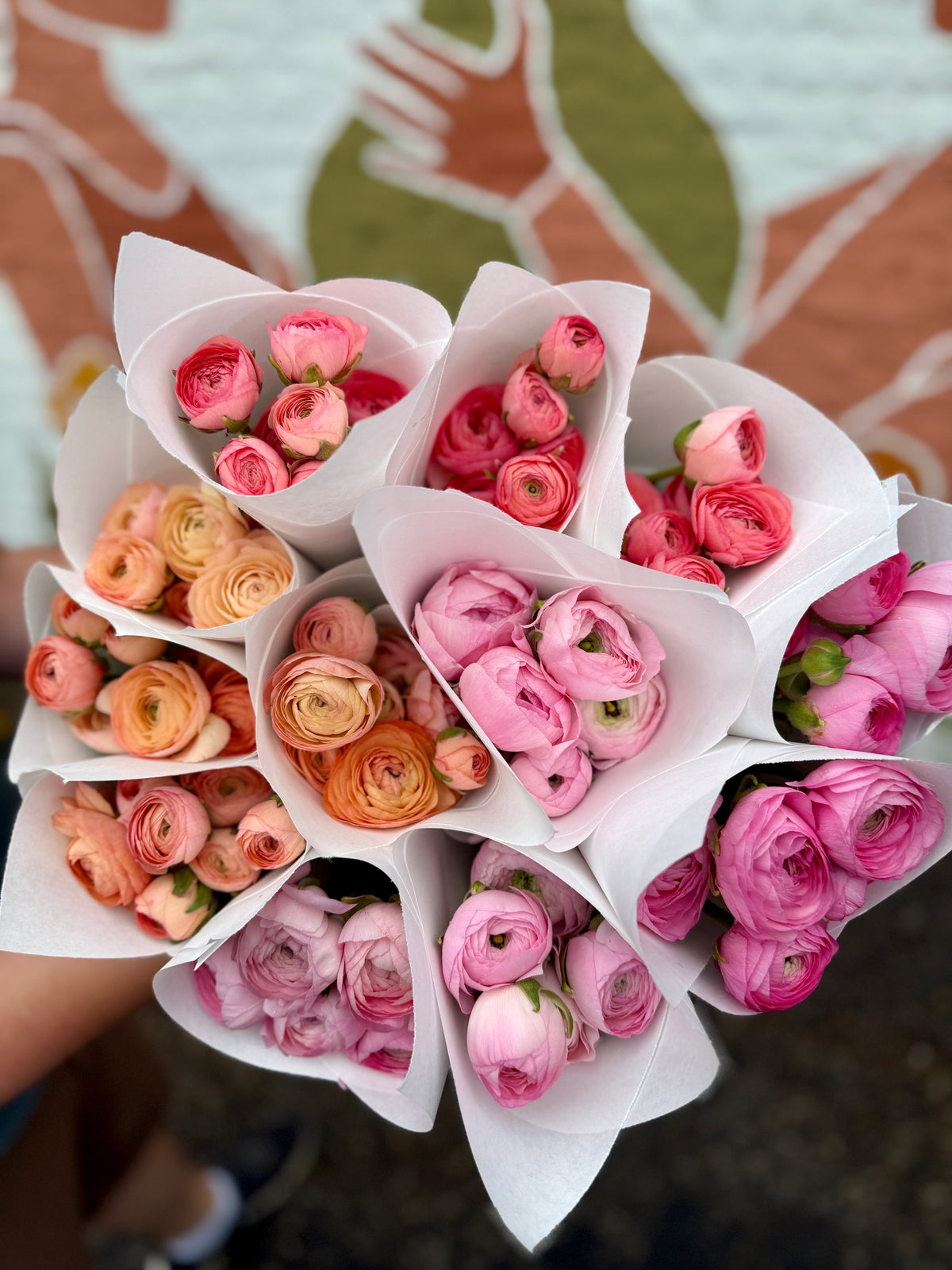 Local Ranunculus Bunch