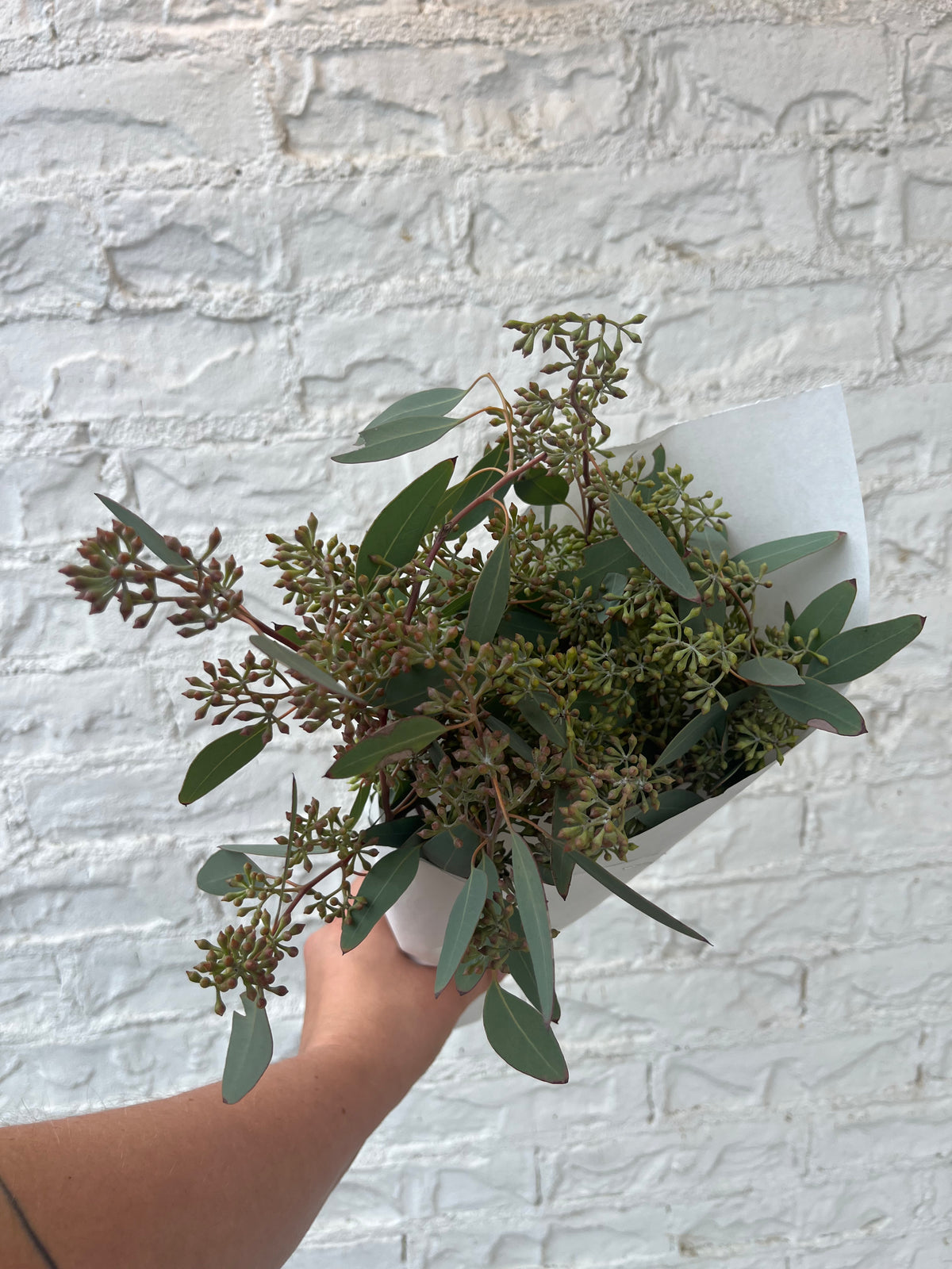 Seeded Eucalyptus Bunch