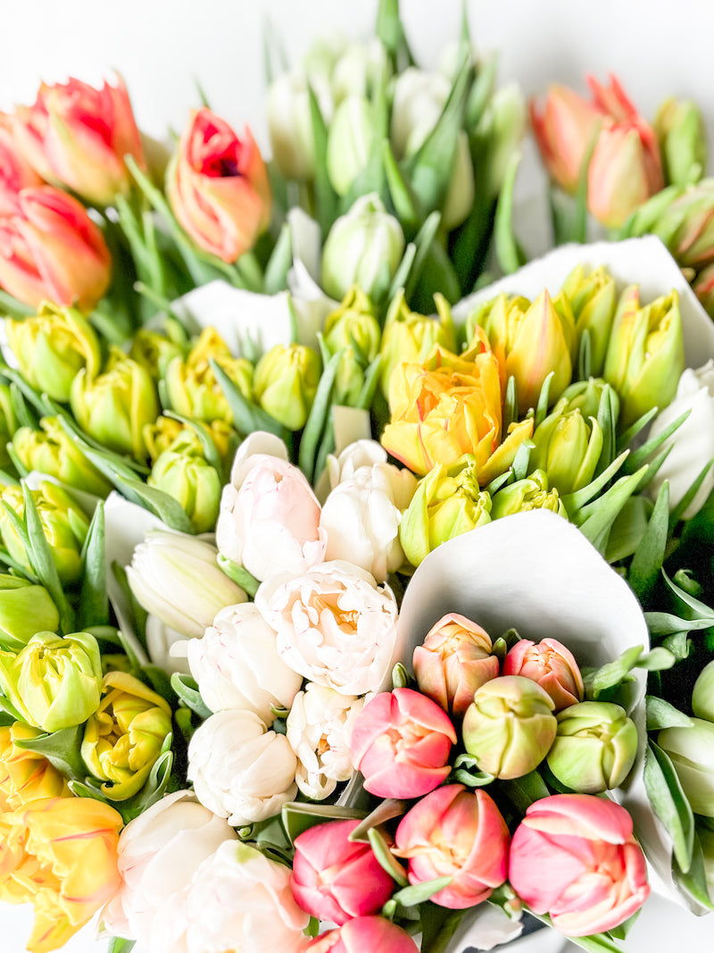 Double Tulip Bunch - Locally Grown