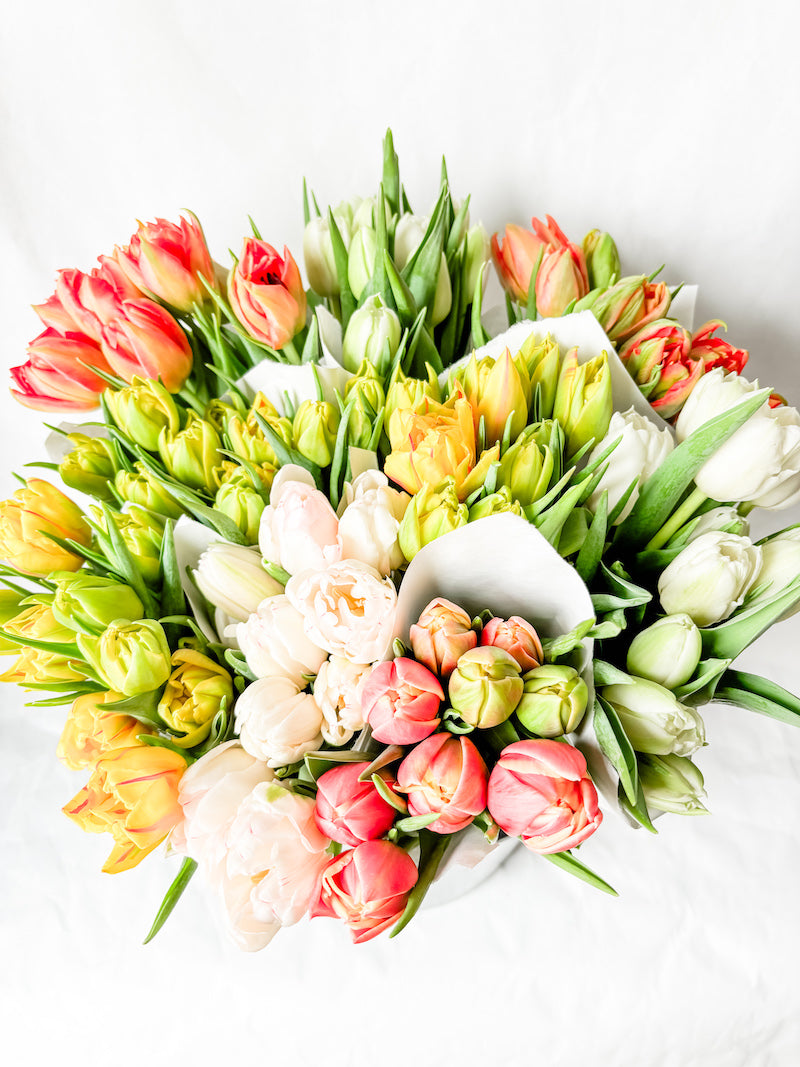Double Tulip Bunch - Locally Grown