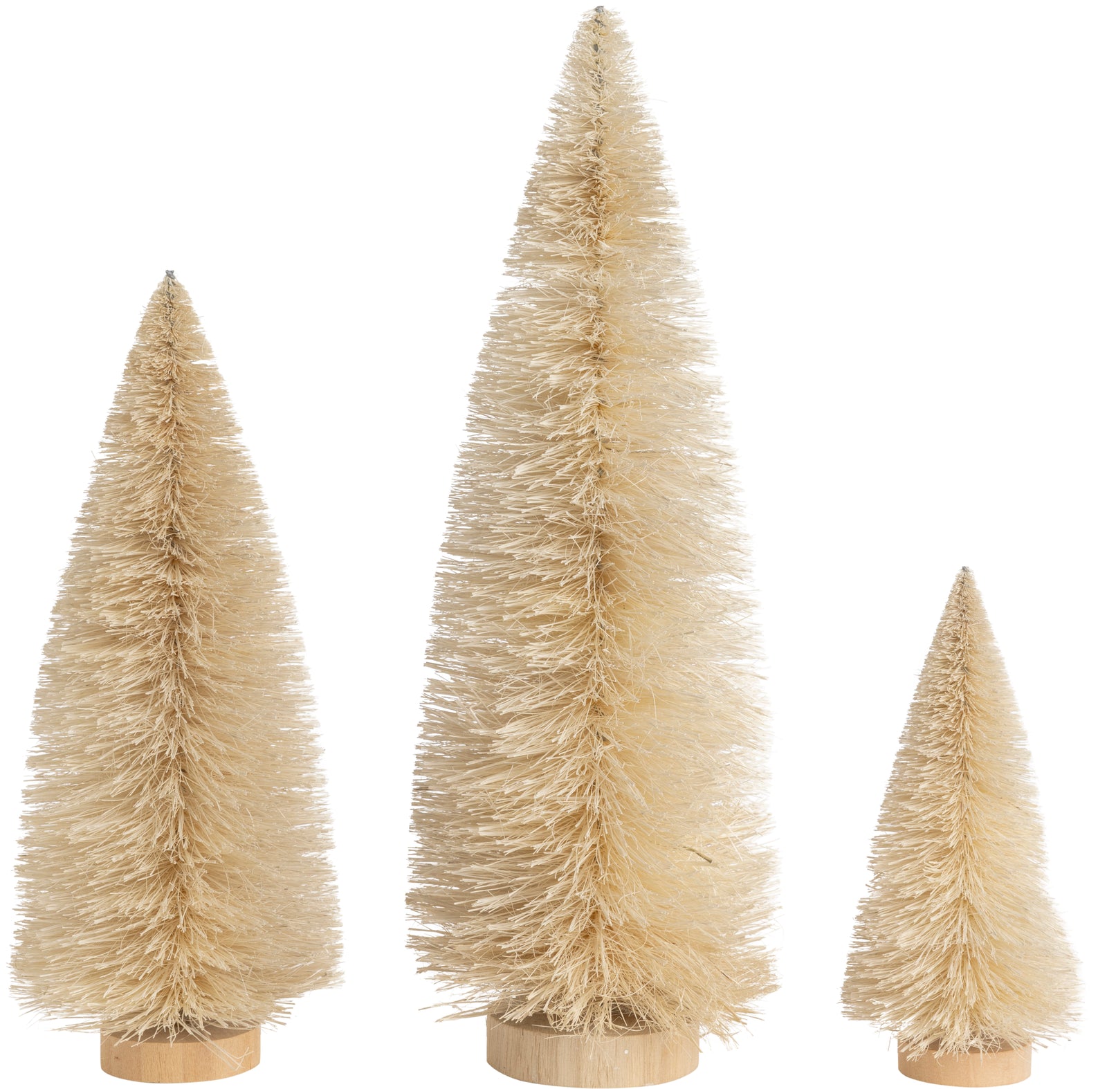 Natural Bristle Trees