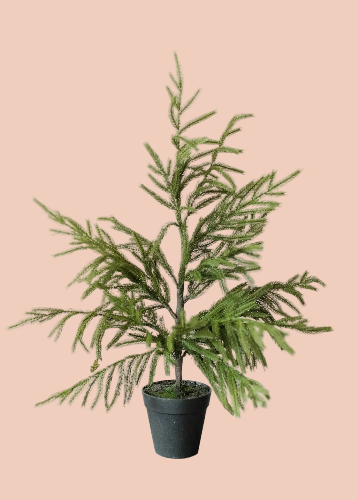 Faux Norfolk Pine Tree - 26"