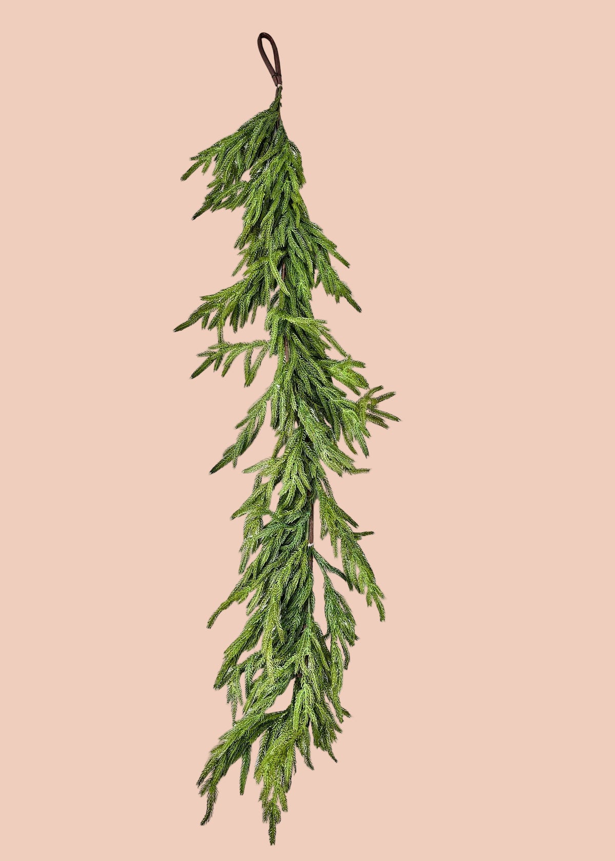 Norfolk Pine Garland - 120 Inches