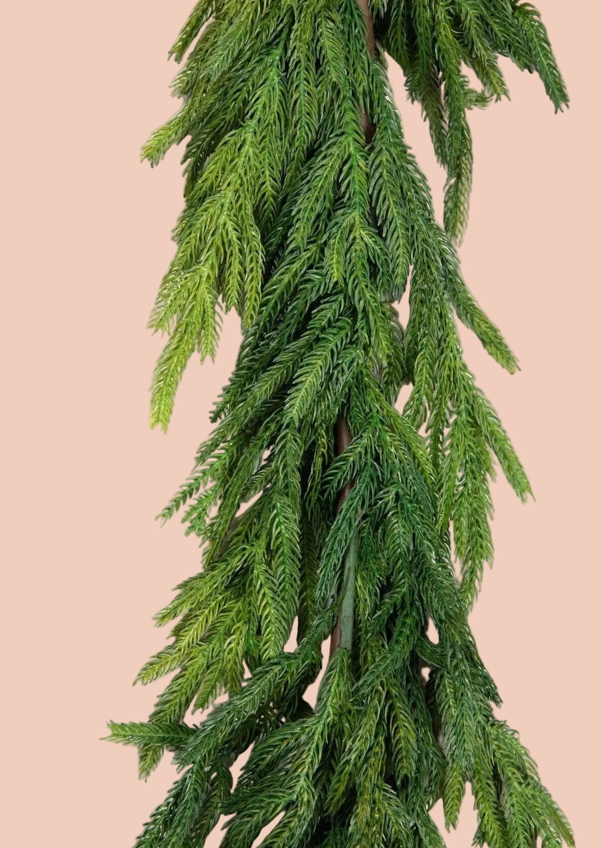 Norfolk Pine Garland - 120 Inches
