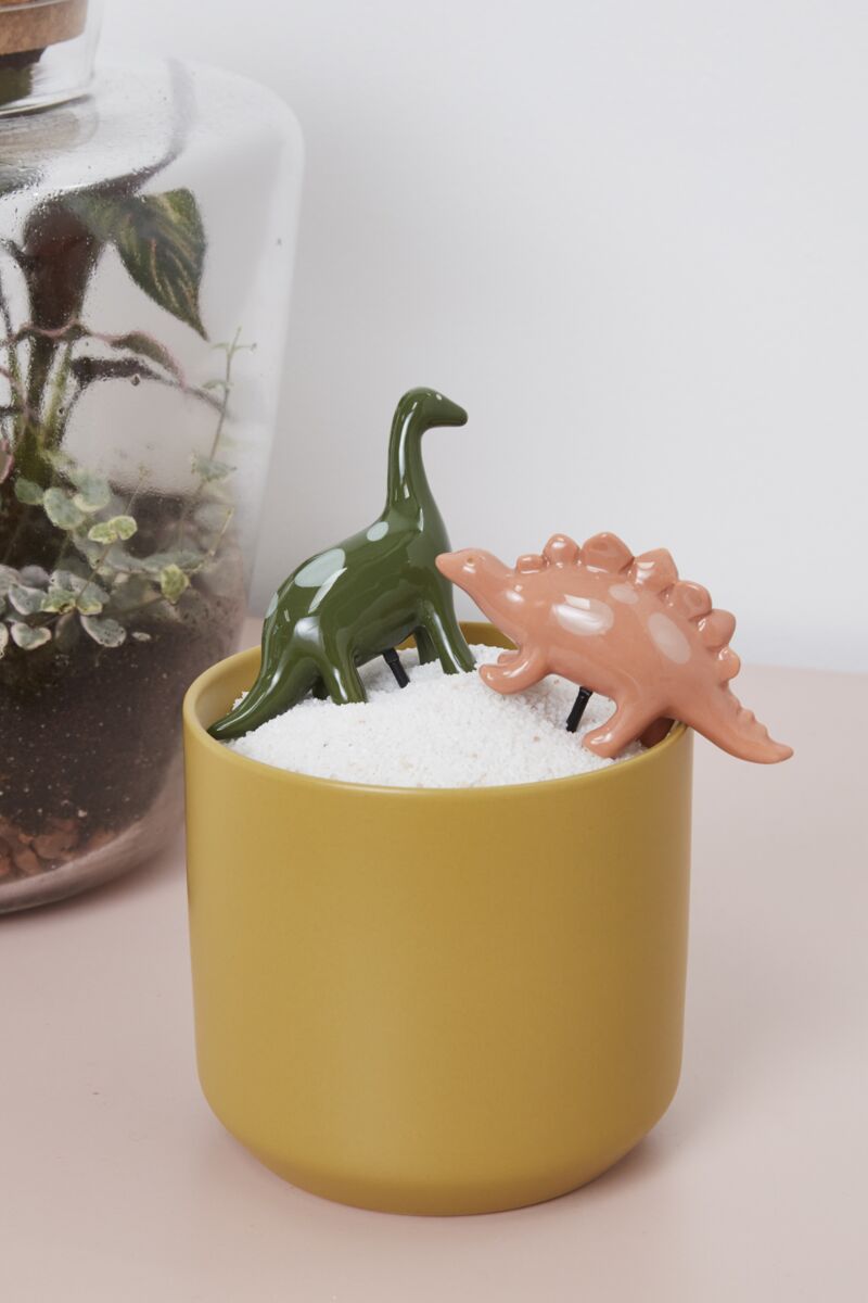 Dinosaur Plant Friend