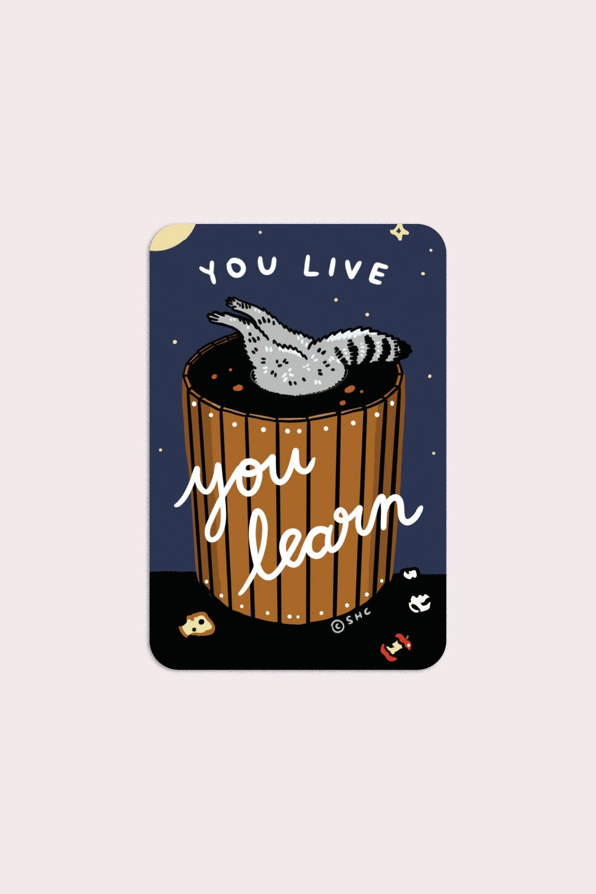 You Live You Learn Sticker | Waterproof Vinyl Sticker