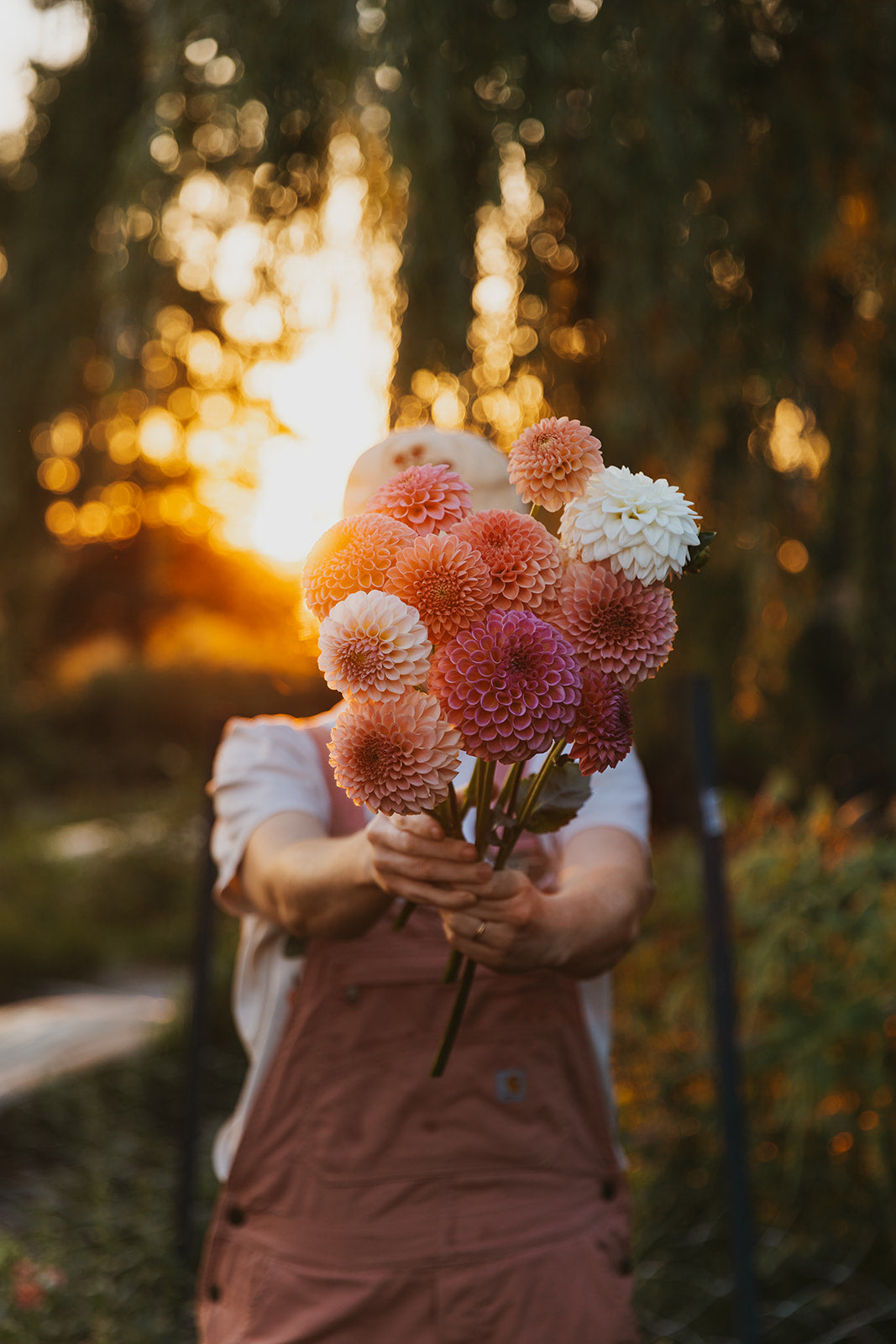 Dahlia Club
