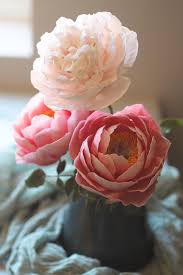 Peony Bunch - Coral Charm