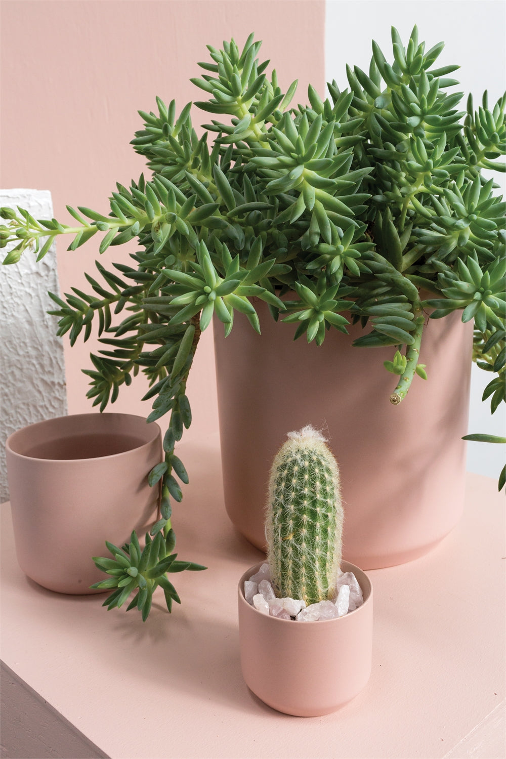 Living Fresh - Pink Kendall Planter Collection