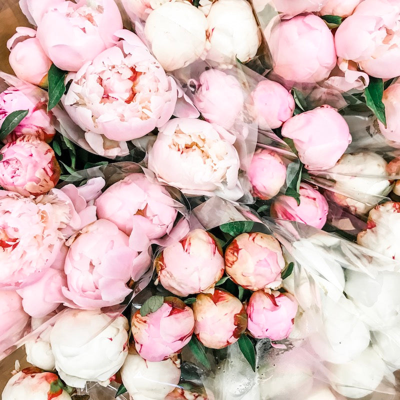 Living Fresh Flower and Plant Studio - Local Peonies