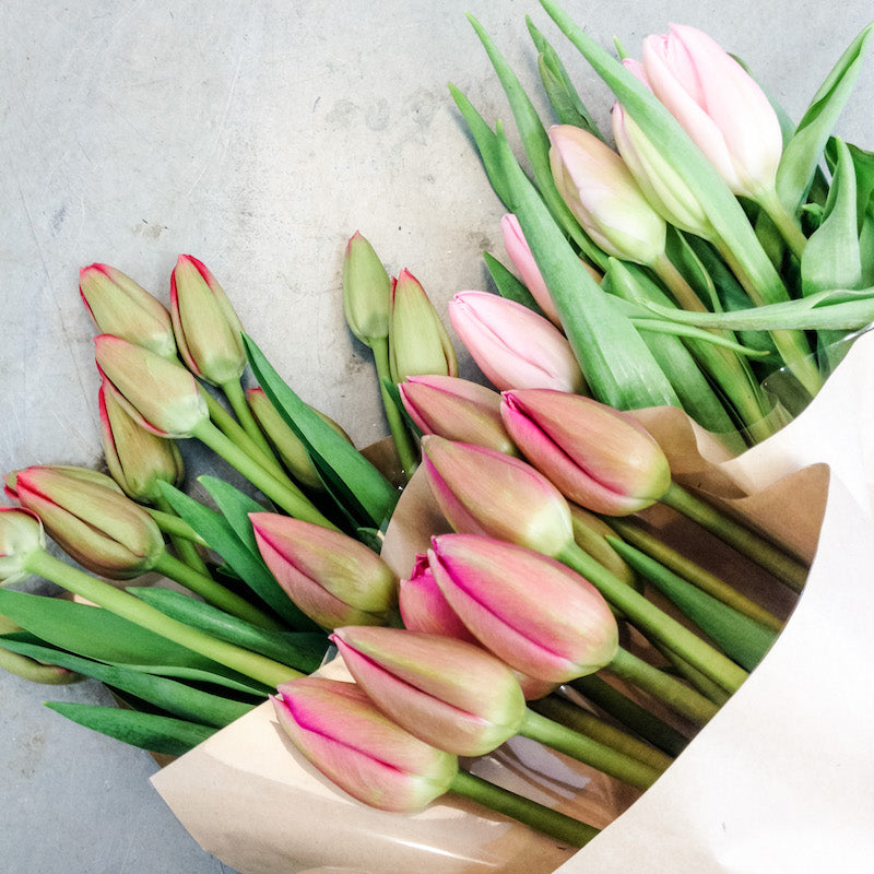 Living Fresh Flower and Plant Studio - Tulip Bunches