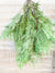 Living Fresh Flower and Plant Studio - Fresh Greens - BC Cedar Bough