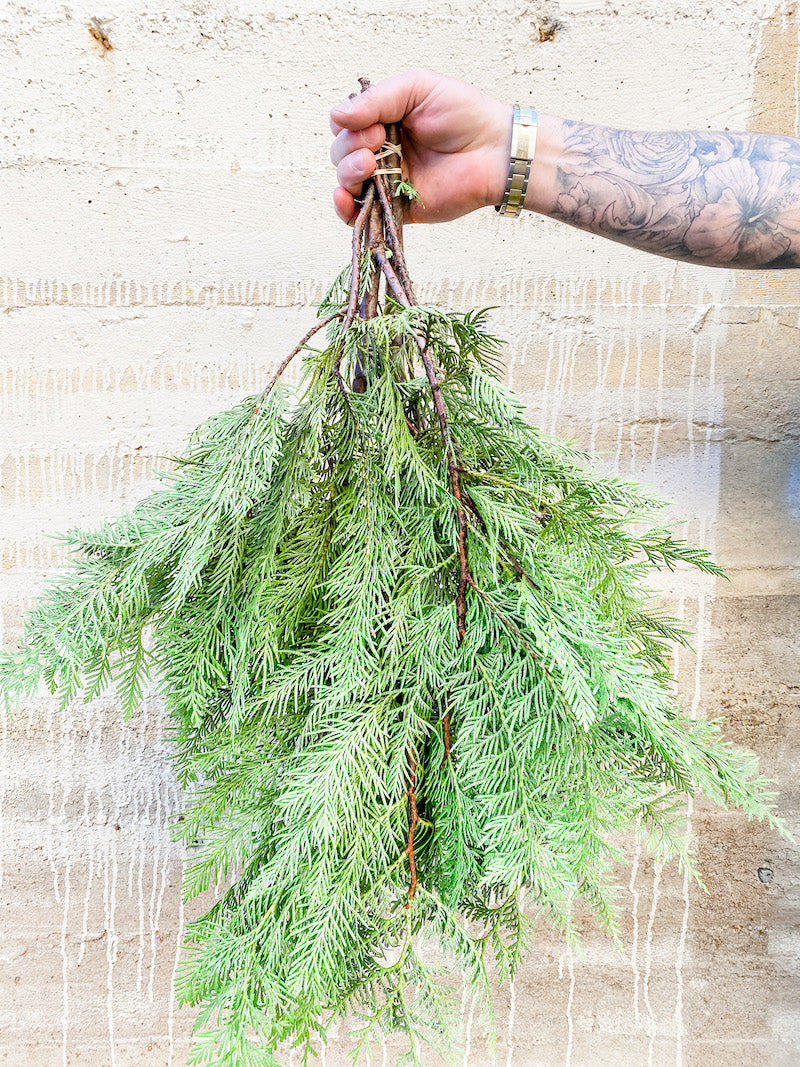 Living Fresh Flower and Plant Studio - Fresh Greens - BC Cedar Bough