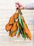 Living Fresh Flower and Plant Studio - Fresh Greens - Magnolia Bough