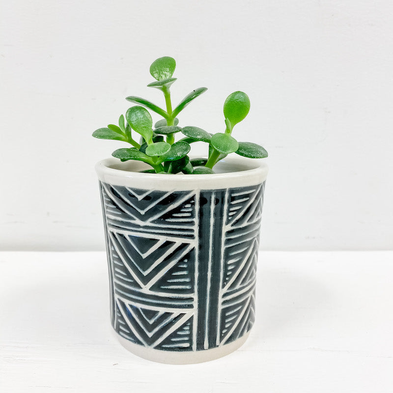 Living Fresh Flower and Plant Studio - Love Bites Ceramics - Ceramic Plant Pot