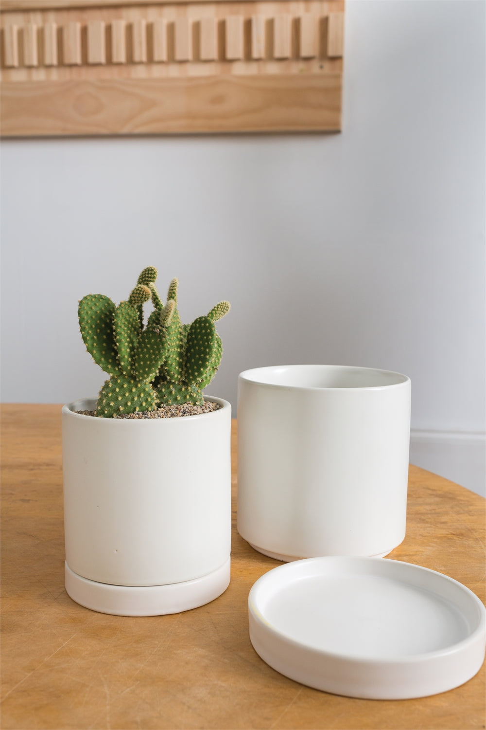 Living Fresh Flower and Plant Studio - Romey Pots