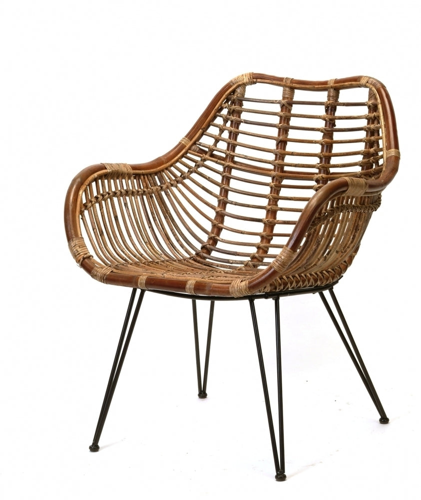 Rattan Arm Chair Living Fresh Home Goods Flower Shop
