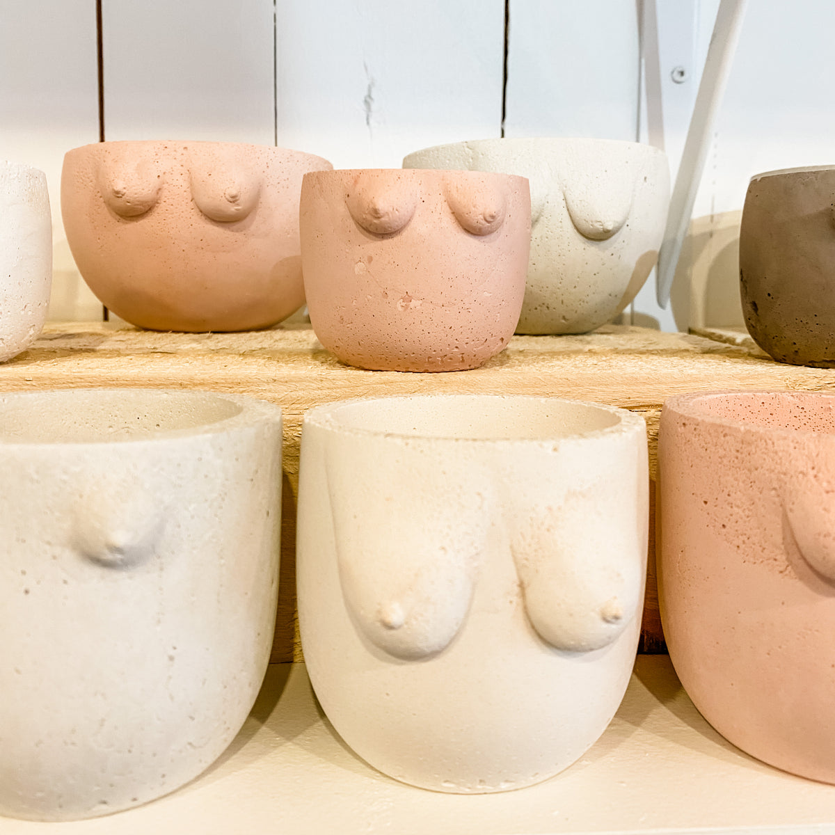 Large B Cup Planter